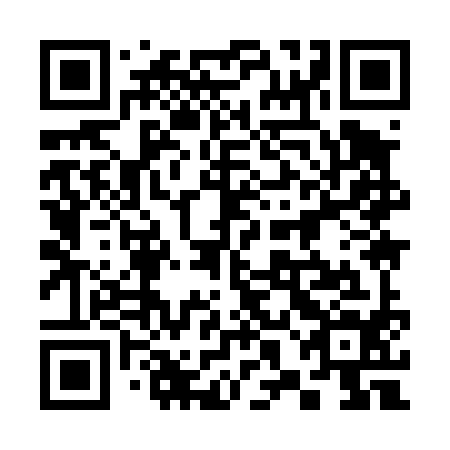 QR code for 38I 494