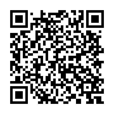 QR code for 38I 506