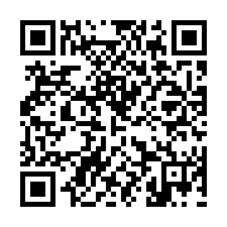QR code for plate 38I U46