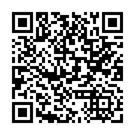 QR code for plate 38J FT3