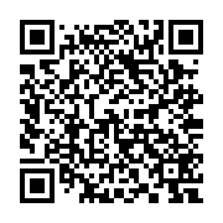 QR code for plate 38J PE9
