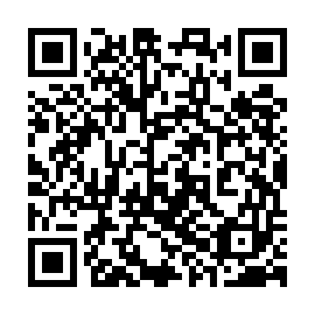 QR code for plate 38J UE3