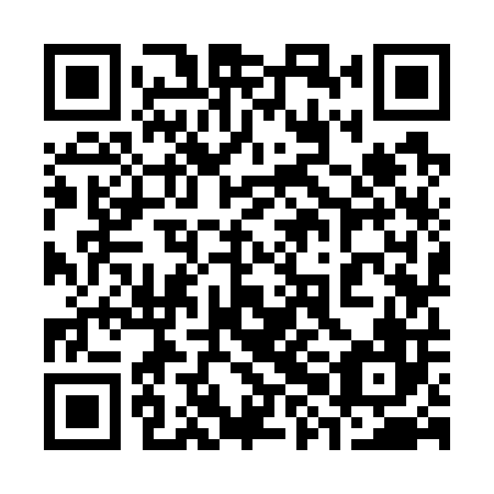 QR code for plate 38K 706
