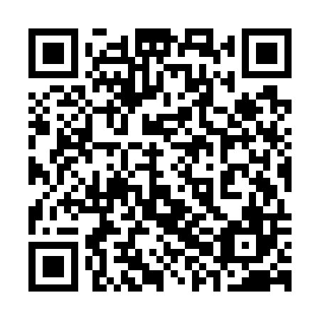 QR code for plate 38K G06