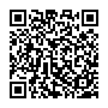 QR code for plate 38L 507