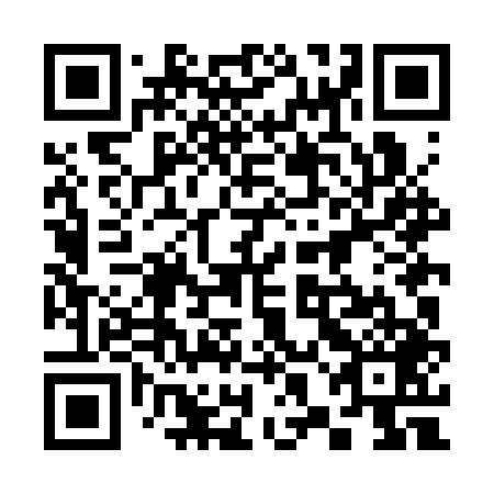 QR code for plate 38L CT9