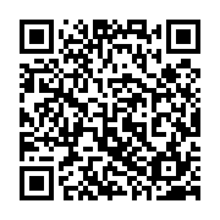 QR code for plate 38L U34