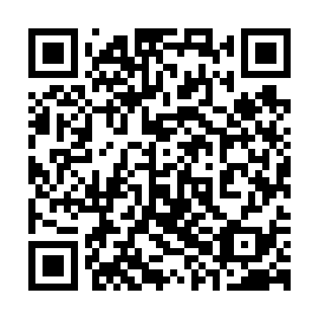 QR code for plate 38M 639