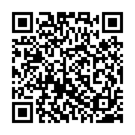 QR code for plate 38M B13