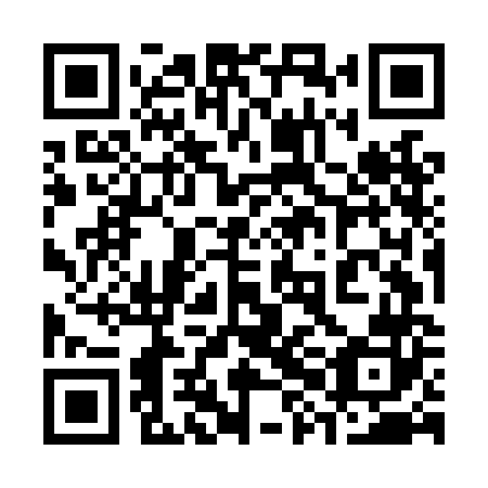 QR code for plate 38M LN2