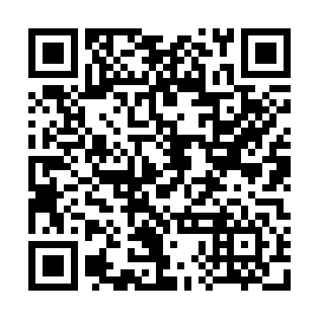 QR code for 38N 346
