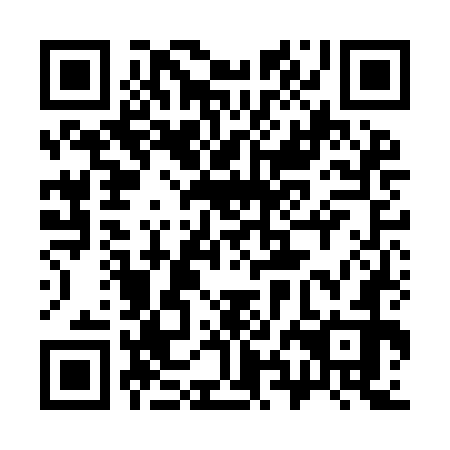 QR code for 38N IG2