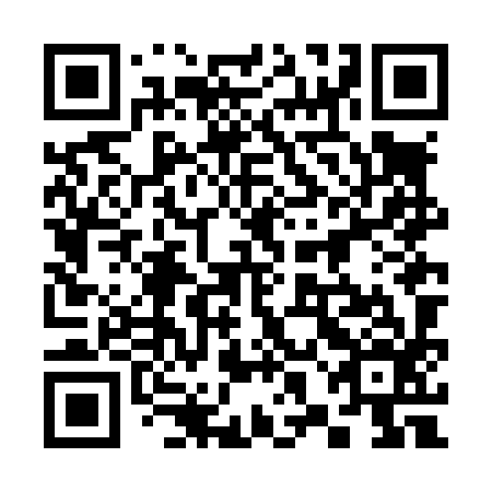 QR code for 38N L96