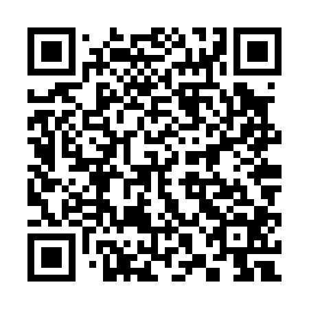 QR code for 38N P04