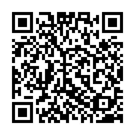 QR code for 38N Z99