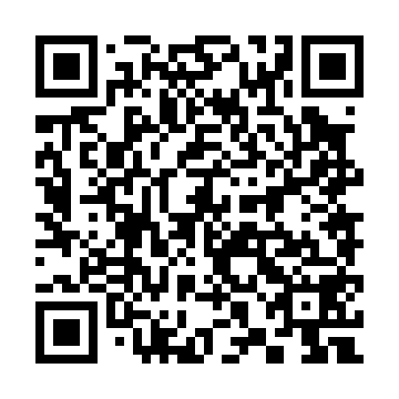 QR code for plate 38N 058