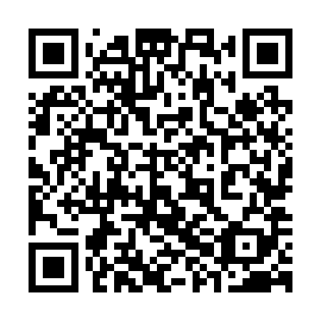 QR code for plate 38N 289