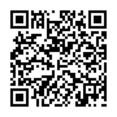QR code for 38N747