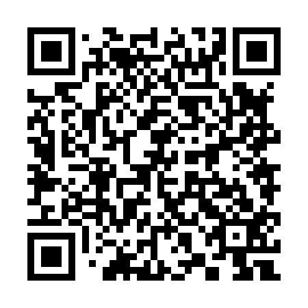 QR code for 38N813