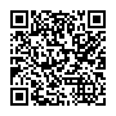 QR code for plate 38N K84