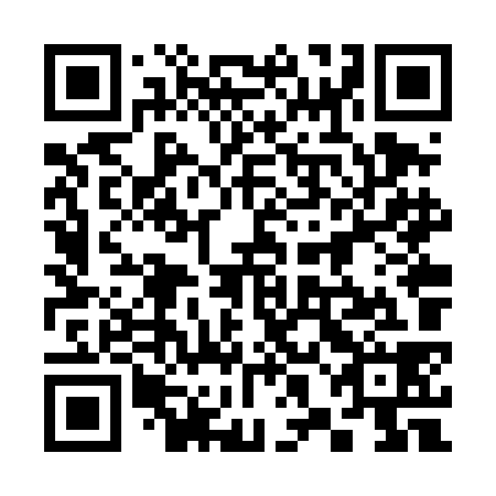 QR code for plate 38N TK8
