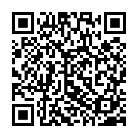 QR code for plate 38O 561