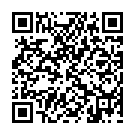 QR code for plate 38O 858