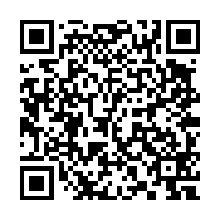 QR code for plate 38O T99