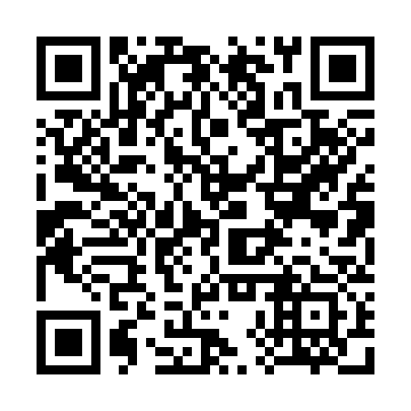 QR code for 38P 333