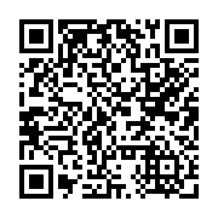 QR code for 38P 334