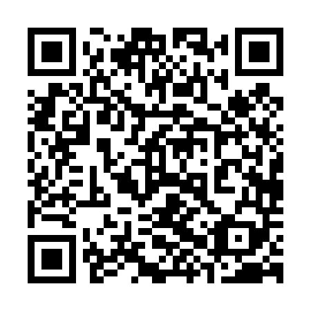 QR code for 38P 449