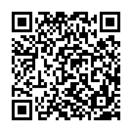 QR code for 38P 736