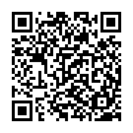 QR code for 38P N54