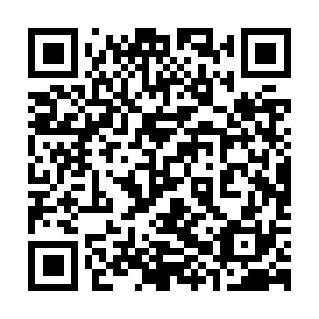 QR code for 38P ZS0
