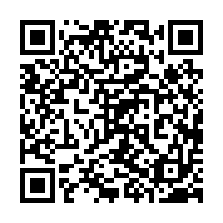 QR code for plate 38P 213