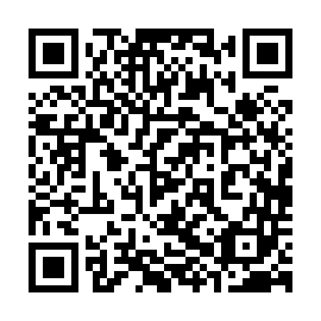 QR code for plate 38P 843