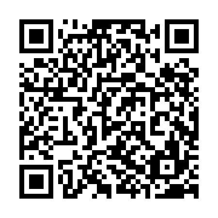 QR code for plate 38P AK6