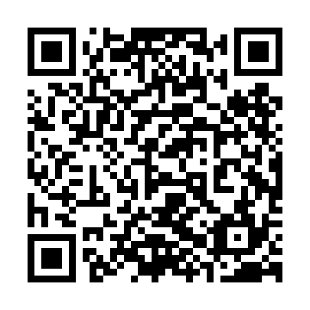 QR code for plate 38P DC4