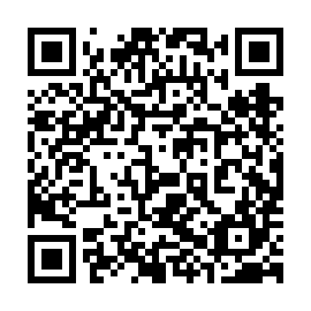 QR code for plate 38P FH4