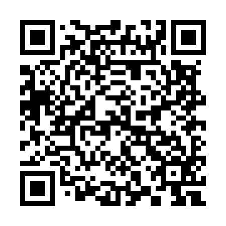 QR code for 38PM96
