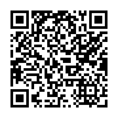 QR code for plate 38P X06