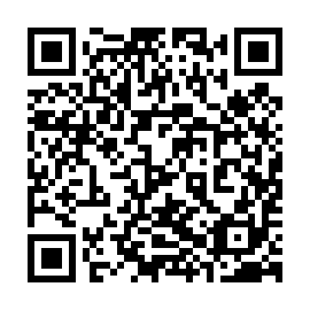 QR code for 38Q 490