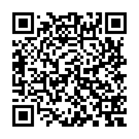 QR code for plate 38Q 918
