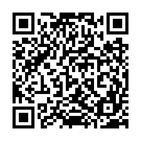 QR code for plate 38Q GU6