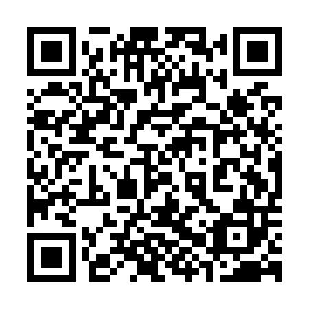 QR code for plate 38Q O02