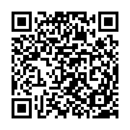 QR code for plate 38Q S67
