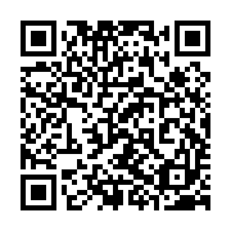 QR code for plate 38R A93