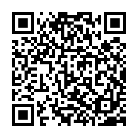QR code for plate 38R U13