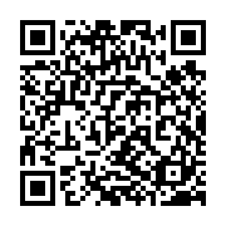 QR code for plate 38R V23