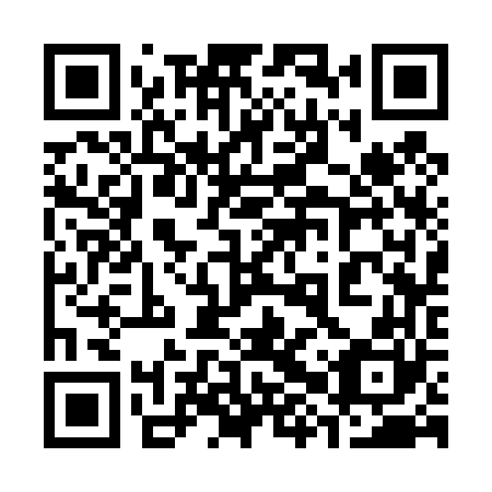 QR code for 38S 460